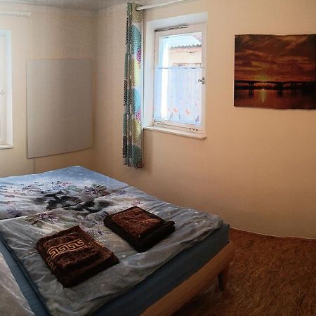 Ferien-Messe-Handwerkerwohnung-Haustiere Willkommen Лауф-ан-дер-Пеґніц Екстер'єр фото